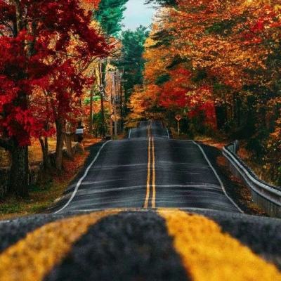 pg娱乐电子游戏下载手机版