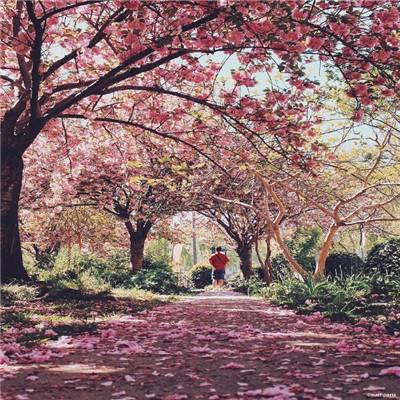 必威体育西汉姆体育