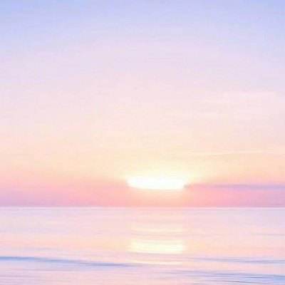 波胆app官网app下载